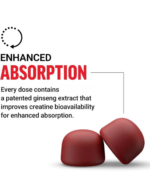 Creatine Monohydrate Gummies for Health Pre Workout