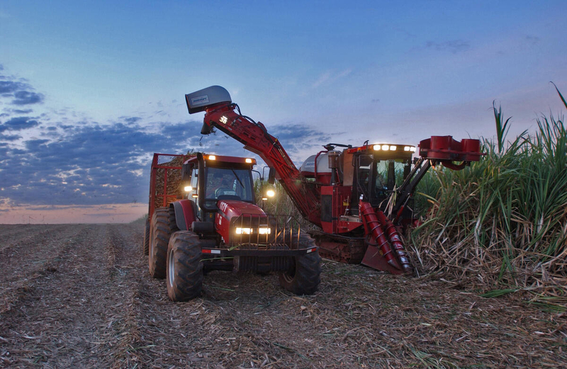 Progress in the Sustainable Food Industry