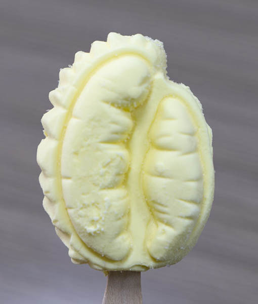 Durian Flavored Ice Cream in a Bag