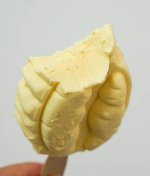 Durian Flavored Ice Cream in a Bag