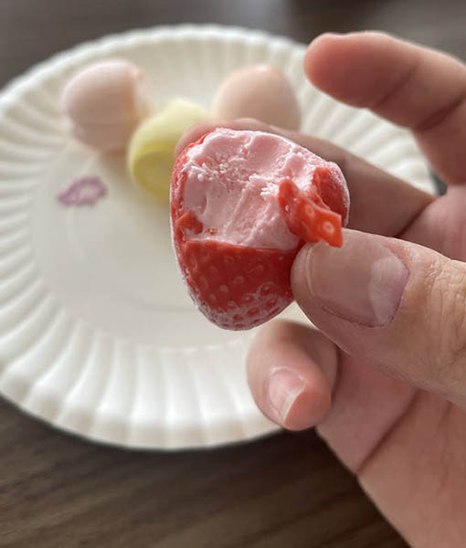 Factory Wholesale Price Mix Pops Ice Cream Fruit Shaped Ice Cream Pops